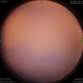 1578361974.jpg
