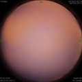 1578362034.jpg