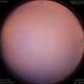 1578362154.jpg