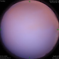 1578362454.jpg