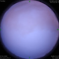 1578363009.jpg