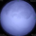 1578364135.jpg
