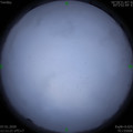 1578370288.jpg
