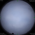 1578374955.jpg