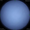 1578390307.jpg