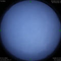 1578390847.jpg