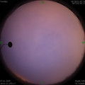 1578394884.jpg