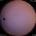 1578394944.jpg