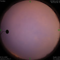 1578395005.jpg