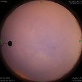 1578395140.jpg