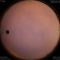 1578395320.jpg