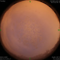 1578447455.jpg