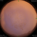 1578447635.jpg