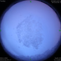 1578449046.jpg