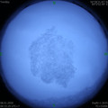 1578450816.jpg