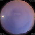1578481731.jpg