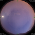 1578481791.jpg
