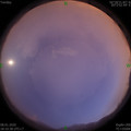 1578481851.jpg
