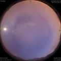 1578481912.jpg