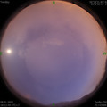 1578481972.jpg