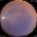 1578482032.jpg