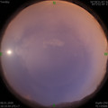 1578482092.jpg