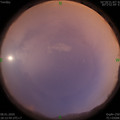1578482152.jpg