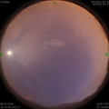 1578482212.jpg