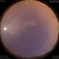1578482272.jpg