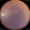 1578482347.jpg