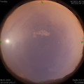 1578482407.jpg