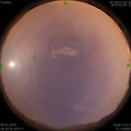 1578482467.jpg