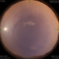 1578482527.jpg