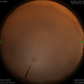1578498149.jpg