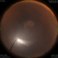 1578584336.jpg