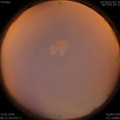 1578619933.jpg