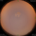 1578620053.jpg