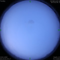 1578623100.jpg