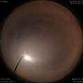 1578674110.jpg