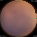 1578706360.jpg