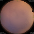 1578706420.jpg