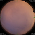 1578706480.jpg