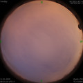 1578706540.jpg