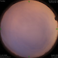 1578706600.jpg