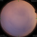 1578706660.jpg