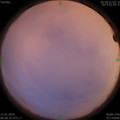 1578706720.jpg