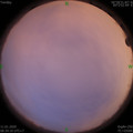 1578706780.jpg