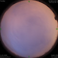 1578706840.jpg