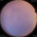 1578706901.jpg