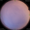 1578706961.jpg